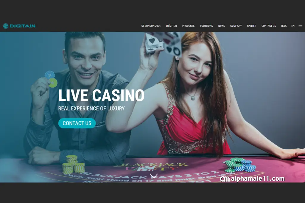 digitain casino solution