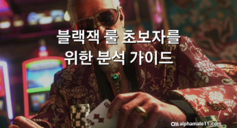 블랙잭 룰 초보자를 위한 분석 가이드
